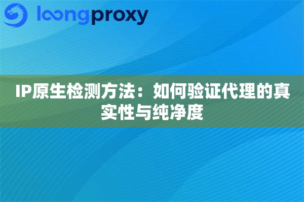 IP原生检测方法：如何验证代理的真实性与纯净度