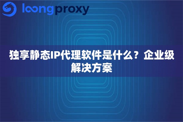 独享静态IP代理软件是什么？企业级解决方案