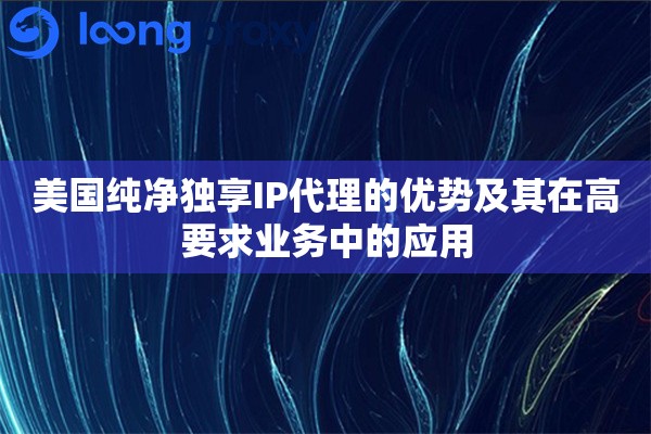美国纯净独享IP代理的优势及其在高要求业务中的应用