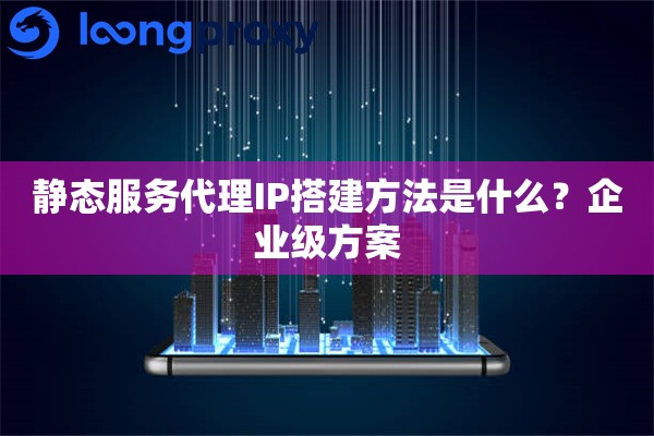 静态服务代理IP搭建方法是什么？企业级方案