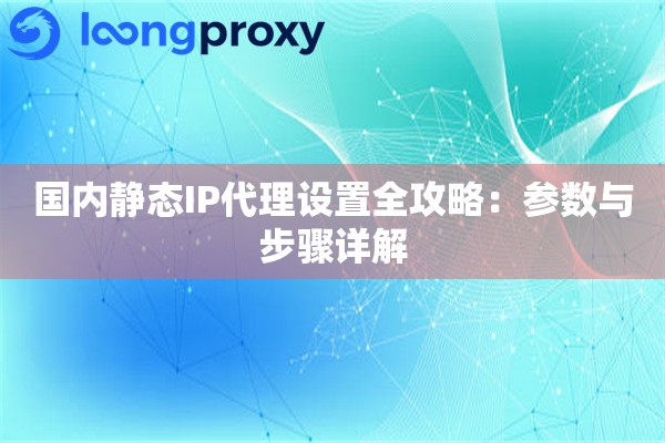 国内静态IP代理设置全攻略：参数与步骤详解