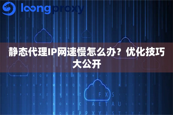 静态代理IP网速慢怎么办？优化技巧大公开