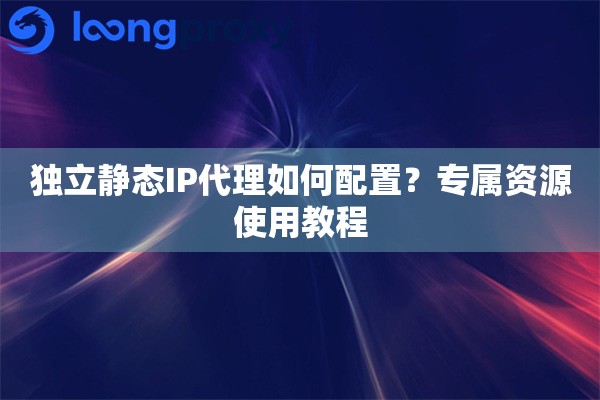 独立静态IP代理如何配置？专属资源使用教程
