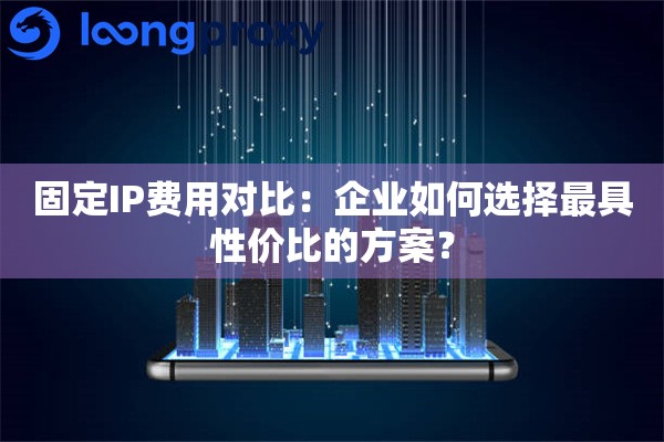 固定IP费用对比：企业如何选择最具性价比的方案？