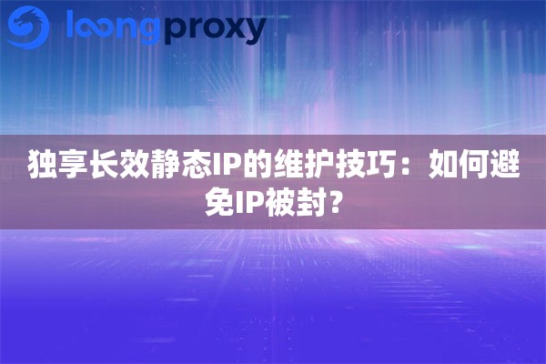 独享长效静态IP的维护技巧：如何避免IP被封？