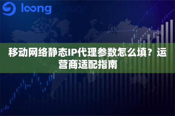 移动网络静态IP代理参数怎么填？运营商适配指南
