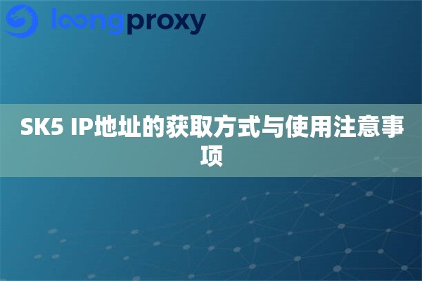 SK5 IP地址的获取方式与使用注意事项