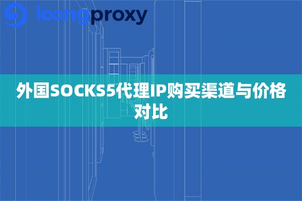 外国SOCKS5代理IP购买渠道与价格对比