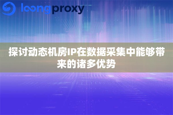 探讨动态机房IP在数据采集中能够带来的诸多优势