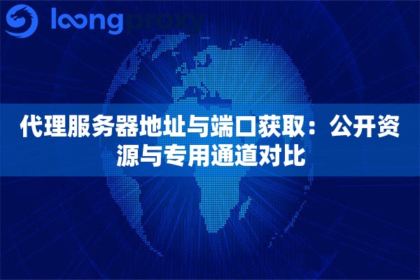 代理服务器地址与端口获取:公开资源与专用通道对比 代理服务器地址与端口获取:公开资源与专用通道对比