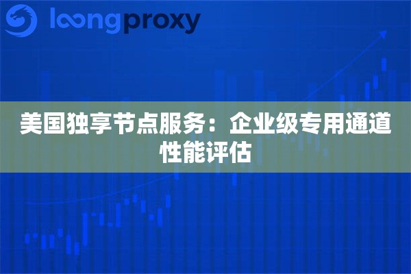 美国独享节点服务:企业级专用通道性能评估 美国独享节点服务:企业级专用通道性能评估